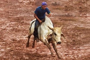 Barreras de toros