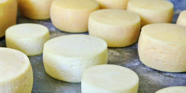 queso de cabra en nicaragua