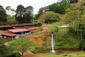 Finca Kilimanjaro