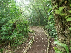 Reserva Natural Volcan Mombacho