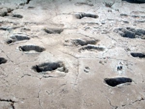 Las Huellas de Acahualinca