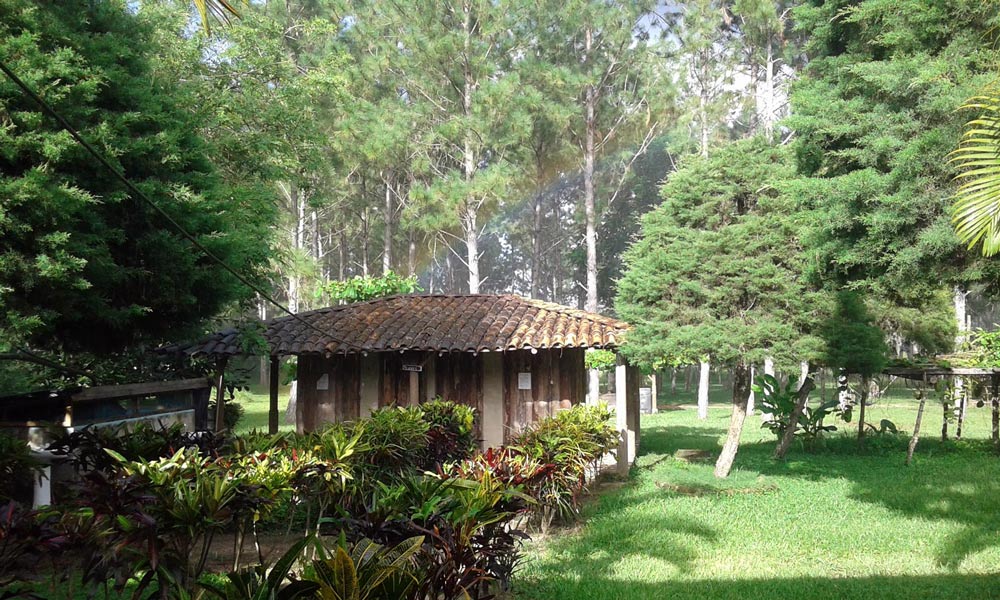 Finca San Nicolás