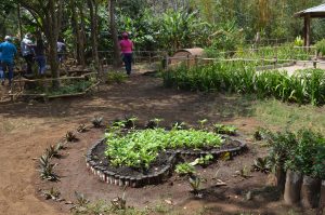 Finca Concepción de María