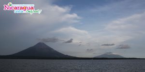 Concepción y Maderas