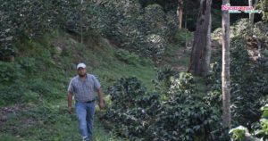 finca Santa Teresa