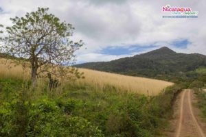 Camino-a-reserva-natural