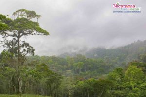 Reserva-cerro-El-Arenal