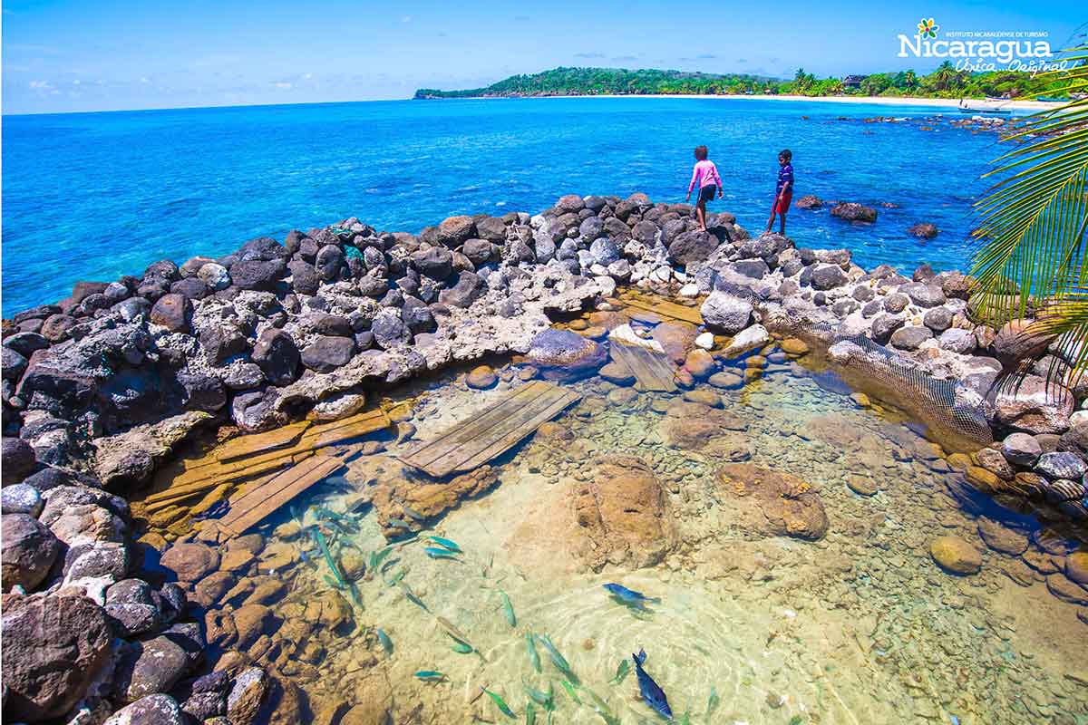 Corn-Island Corn-Island