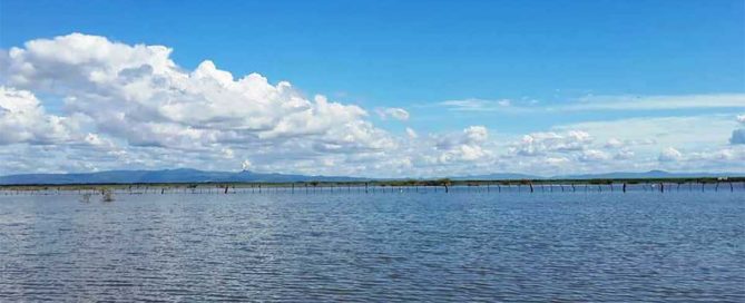 Laguna- Tisma - Nicaragua