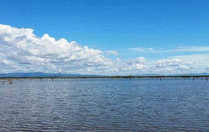 Laguna- Tisma - Nicaragua