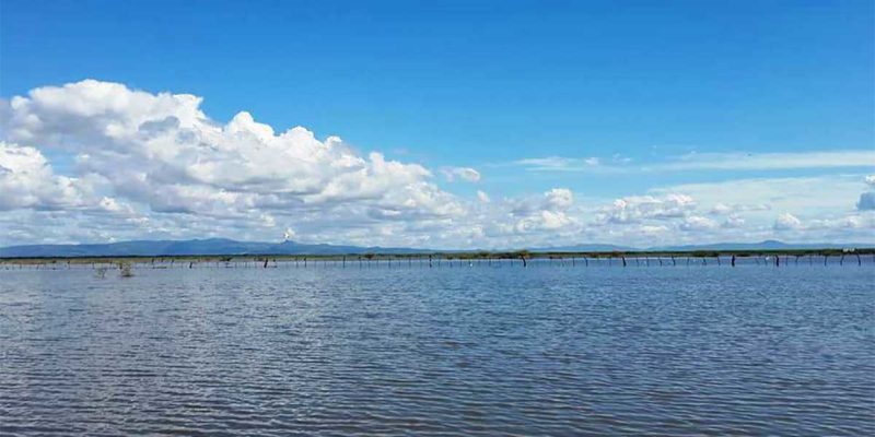 Laguna- Tisma - Nicaragua