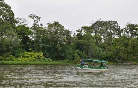 Los-Guatuzos-Rio-San-Juan