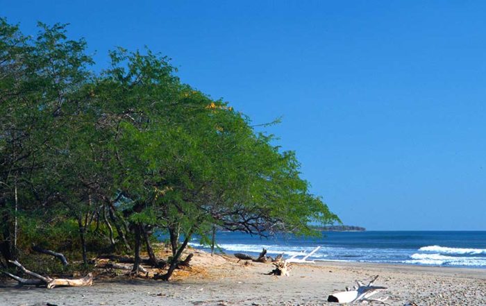 Refugio-de-Vida-Silvestre-Chacocente-Carazo-Nicaragua