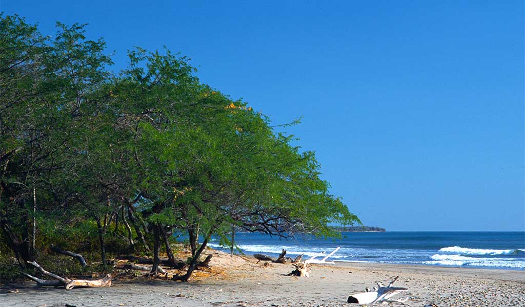 Refugio-de-Vida-Silvestre-Chacocente-Carazo-Nicaragua