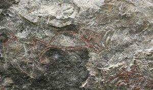 Cueva-Gallina-Managua-San-rafael-del-sur.petroglofos