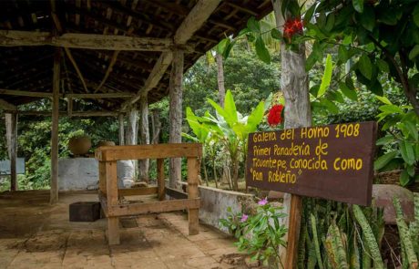 Finca-palestina-ticuantepe