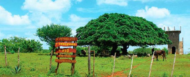 Finca-Agro-ecologica-Tonantzin-Carazo