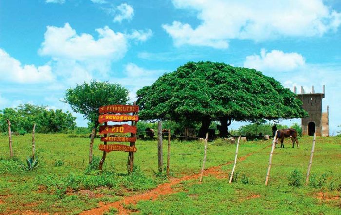 Finca-Agro-ecologica-Tonantzin-Carazo