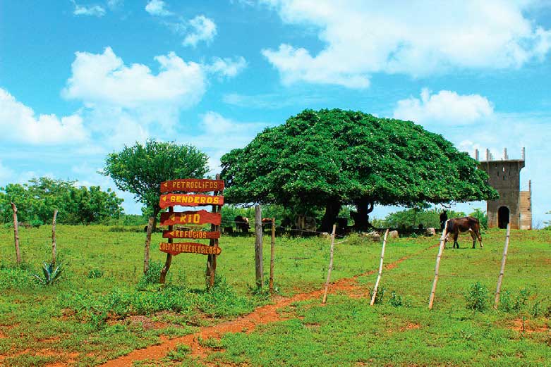 Finca-Agro-ecologica-Tonantzin-Carazo