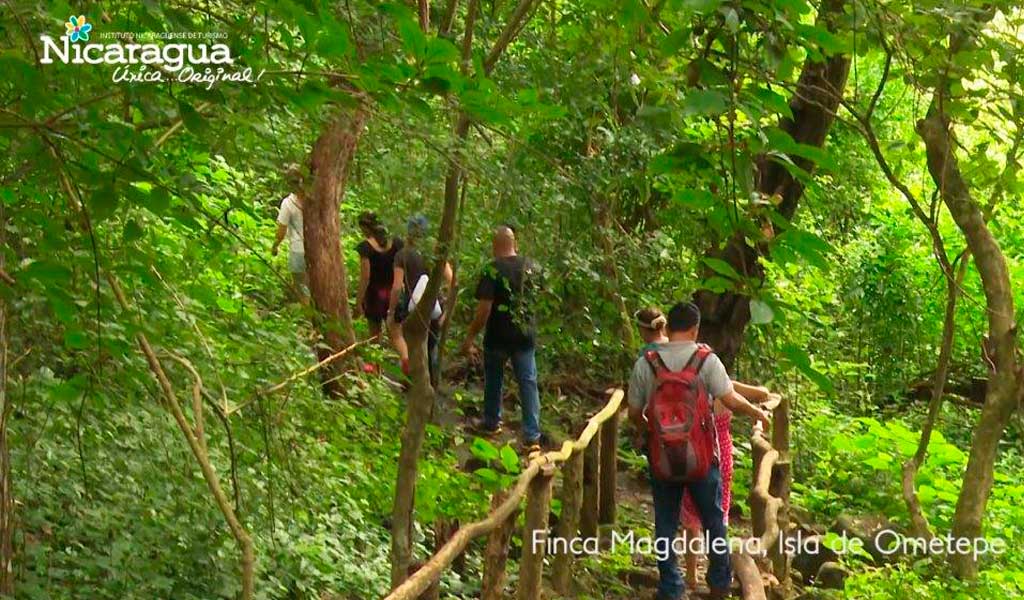 Finca-Magdalena,-Isla-de-Ometepe