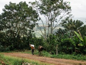 El Tuma la dalia Matagalpa