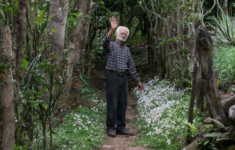 Alberto-Gutiérrez-escultor-en-piedra,-Finca-El-Jalacate,-Estelí