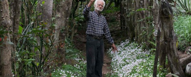 Alberto-Gutiérrez-escultor-en-piedra,-Finca-El-Jalacate,-Estelí