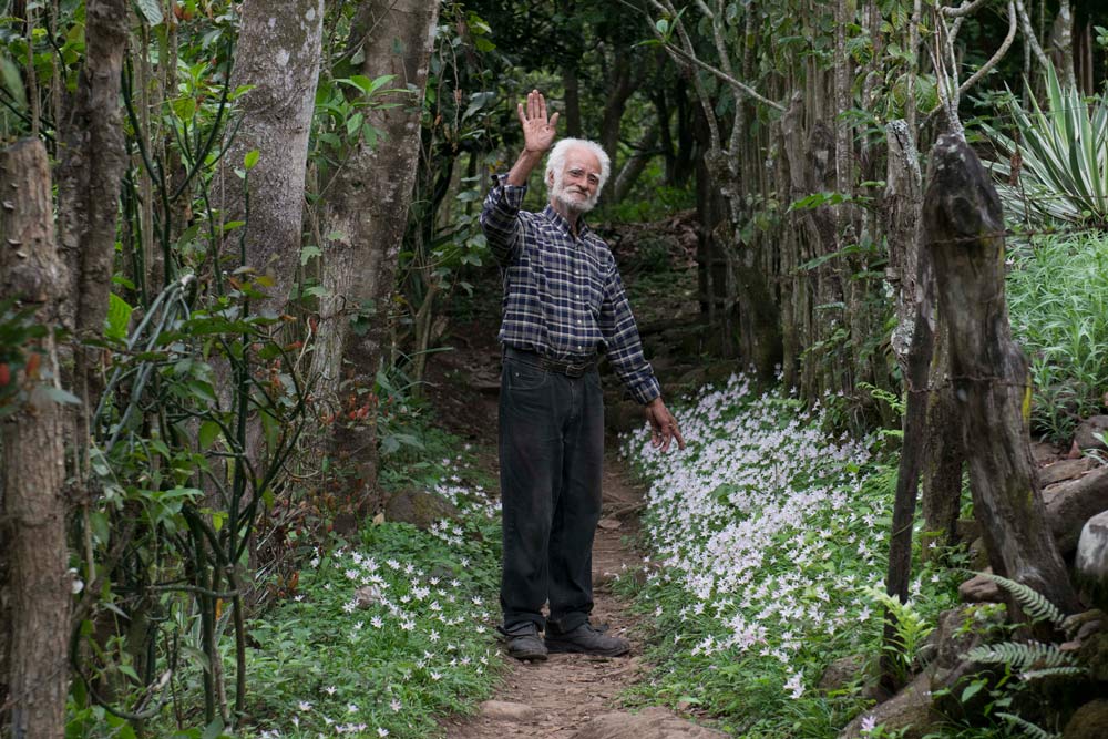 Alberto-Gutiérrez-escultor-en-piedra,-Finca-El-Jalacate,-Estelí