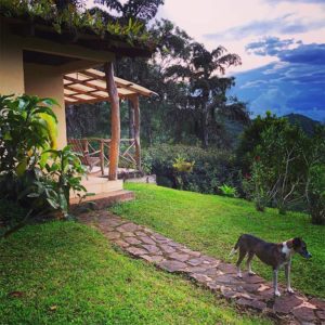 Finca-Esperanza-Verde-9