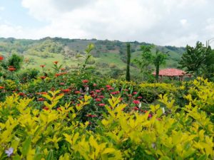 parque-las-madres-en-jinotega