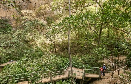 Refugio de Vida Silvestre El chocoyero, Managua