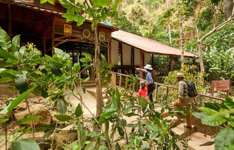 Refugio-de-Vida-Silvestre-El-Chocoyero-El-Brujo,--Managua