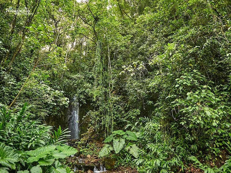 Reserva El Arenal,-Matagalpa