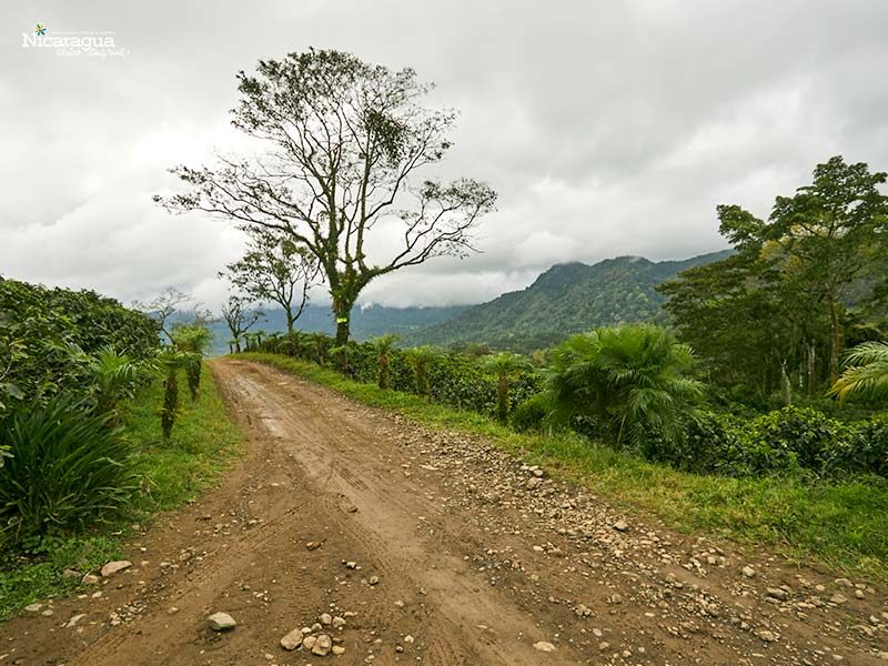 Reserva-El-Arenal,-Matagalpa