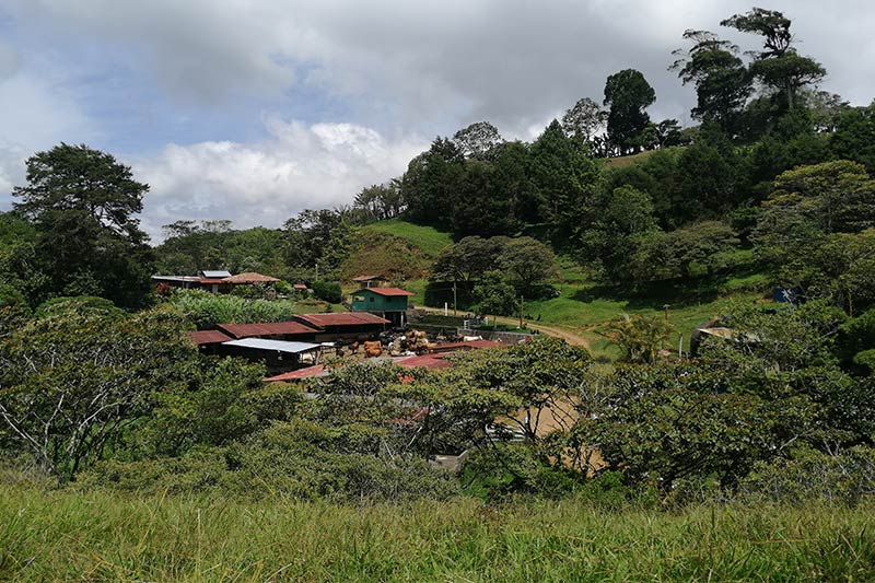 Finca-Kilimanjaro