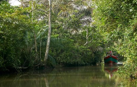 Los-Guatuzos-Rio-san-juan