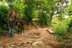 Sendero-Cerro-El-Mono,-Chinandega