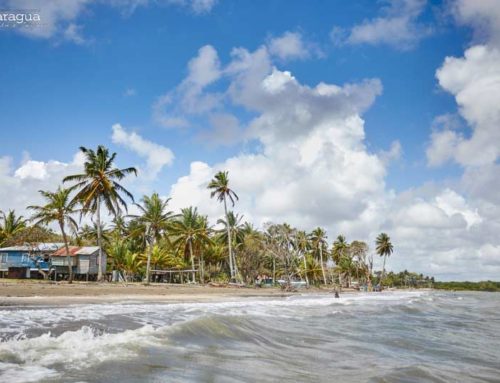 ¿Qué debe hacer un turista en RACCN?