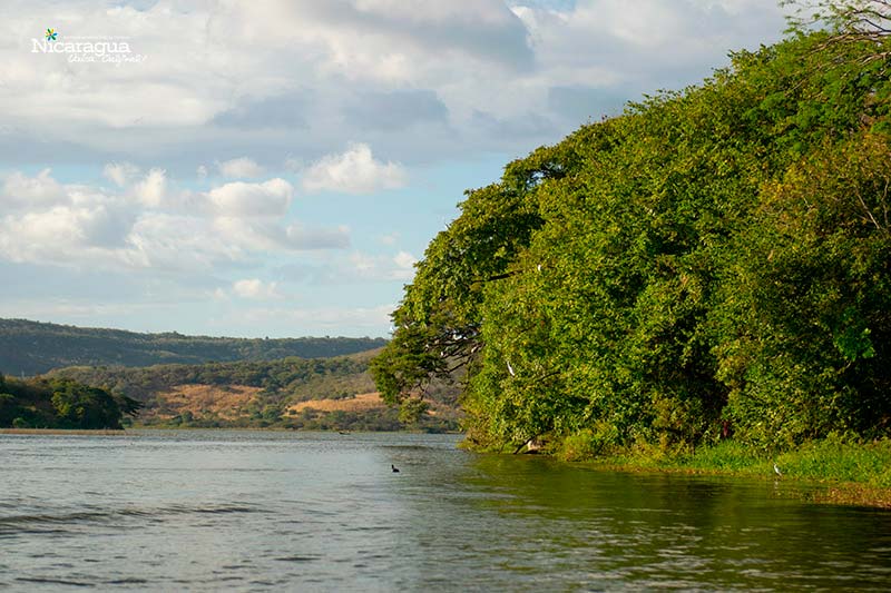 Laguna-de-Moyuá