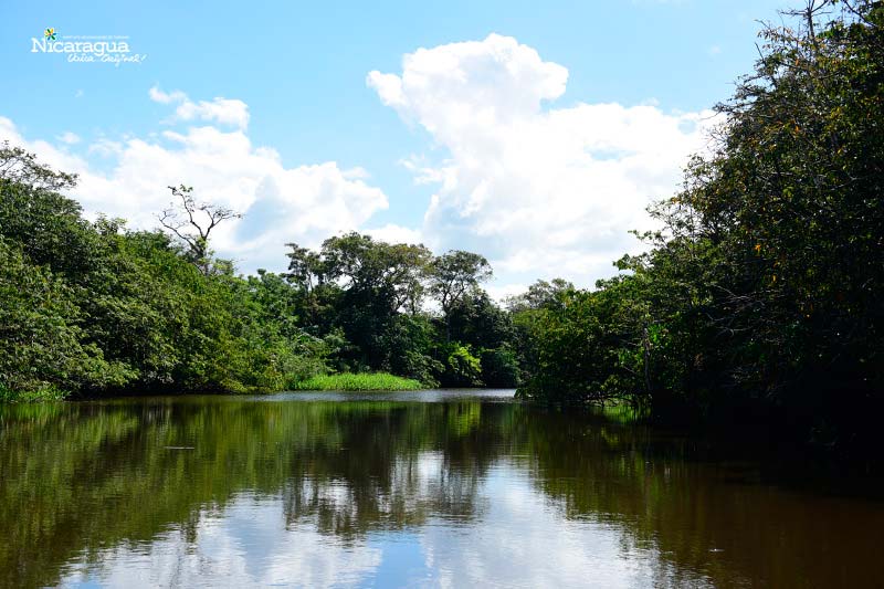 Refugio-de-Vida-Silvestre-Los-Guatuzos-2 Refugio-de-Vida-Silvestre-Los-Guatuzos-2