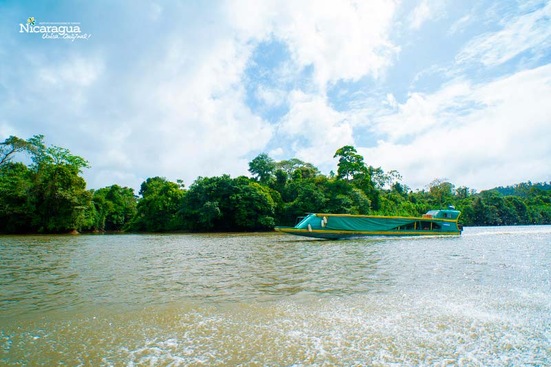 Refugio-de-Vida-Silvestre-Río-San-Juan Rio san juan