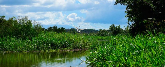 humedales-ramsar-de-Rio-San-Juan