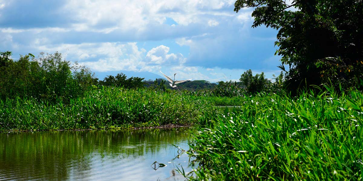 Ramsar-wetlands-of-Rio-San-Juan