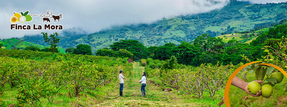 Agroturismo Nicaragua