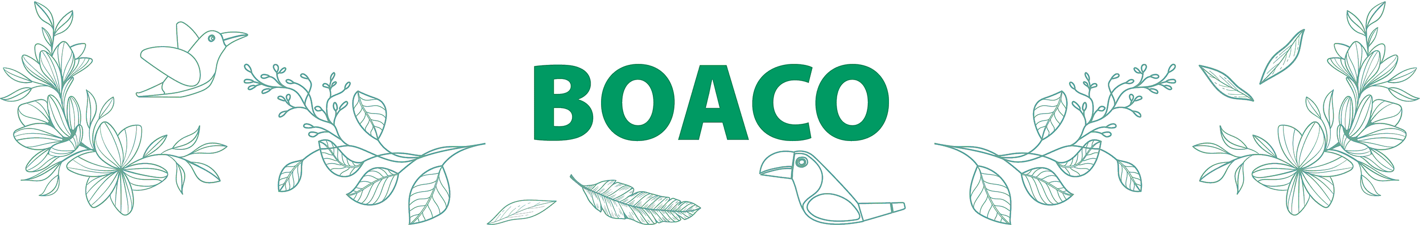 Cinta-Boaco agroturismo