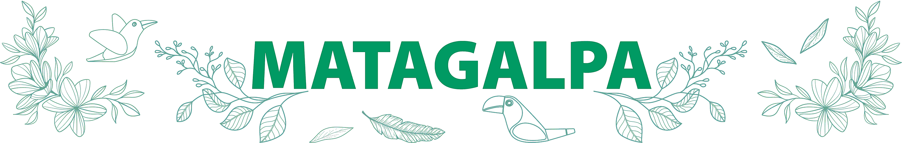 Cinta-Matagalpa-2 Finca Agroturística El Barón