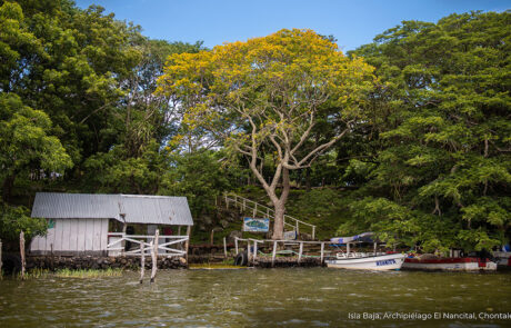 Isla Baja, Archipiélago El Nancital, Chontales Isla Baja, Archipiélago El Nancital, Chontales (1)