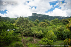 Peñón El Cacique visto desde Finca Bella Vista, Amerrique, Juigalpa