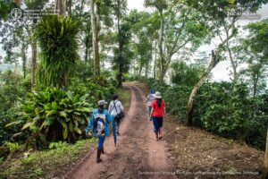 Sendero en Finca La Fortuna, Santa María de Pantasma, Jinotega