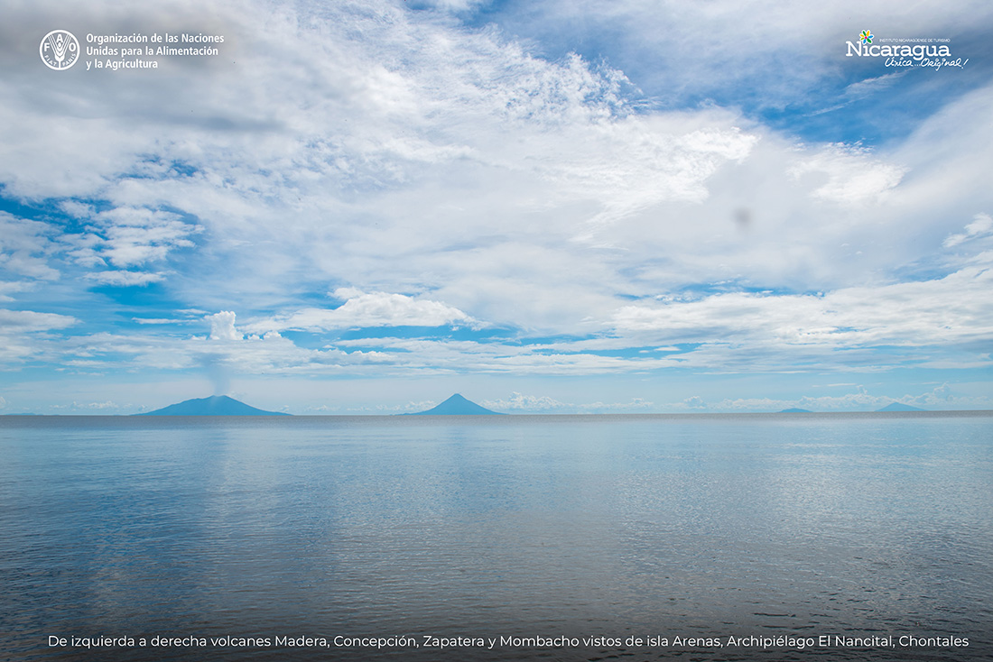 Vista-del-volcan-maderas